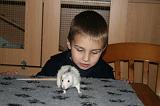 RAT 008